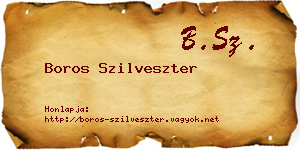 Boros Szilveszter névjegykártya